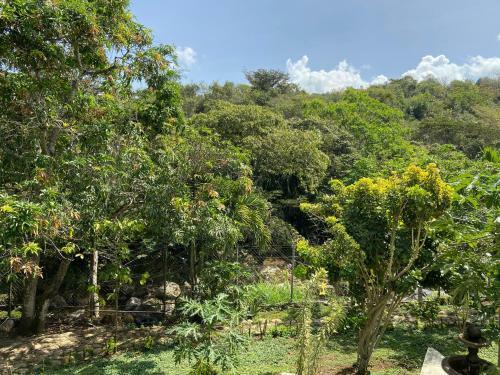 Hotel Campestre Davilejas