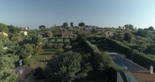 Bed & Breakfast Lodico Country House
