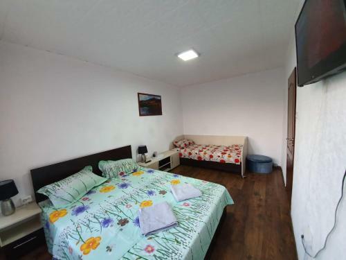 Apartment Ada Kaleh