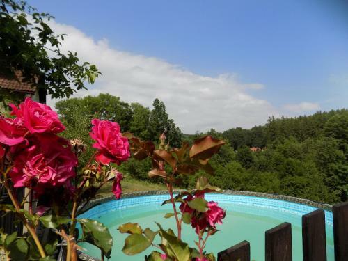Apartamento Landhaus Florian