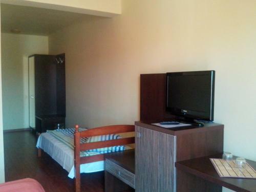 Hostal Pensiunea Ruxandra