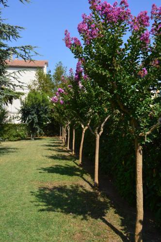 B&B Villa Lupidi