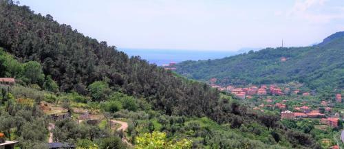 B&B Dal�