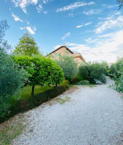 Cali-formia B&B