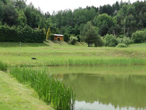 Lodge Eko-wakacje