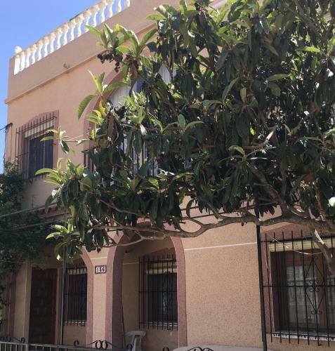 Casa Phoenix Bed & Breakfast