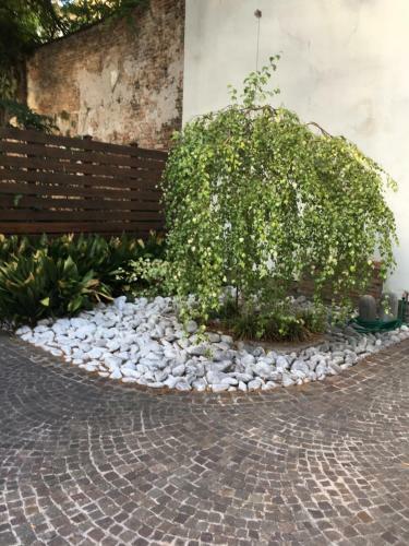 Apartamento La Betulla