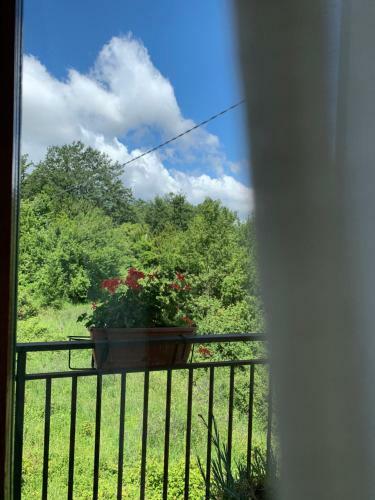 Hostal Residence Il Varco Del Pollino