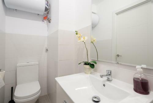 Apartamento Mu�oz Torrero