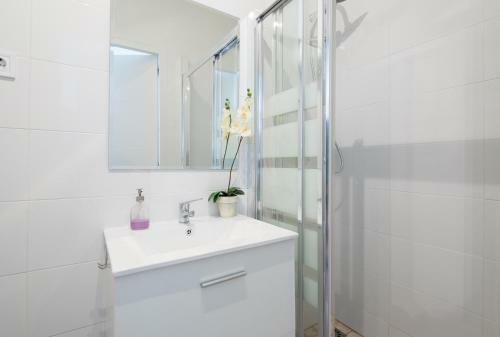 Apartamento Mu�oz Torrero