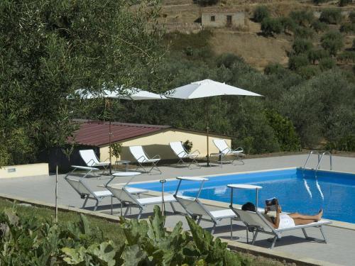 Apartamento La Collina Degli Ulivi