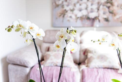 Apartamento Elia?s Home.