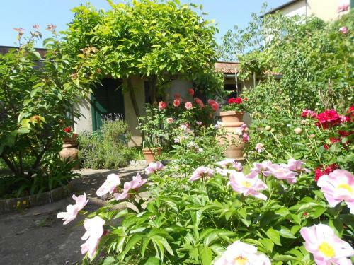 Apartamento L'orto Di Sant'andrea Appartamento In Centro A Pisa