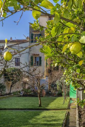 Apartamento L'orto Di Sant'andrea Appartamento In Centro A Pisa
