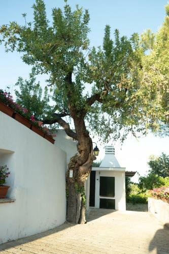 Trullo Bianco