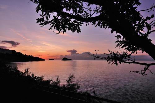 English Riviera Sunrise