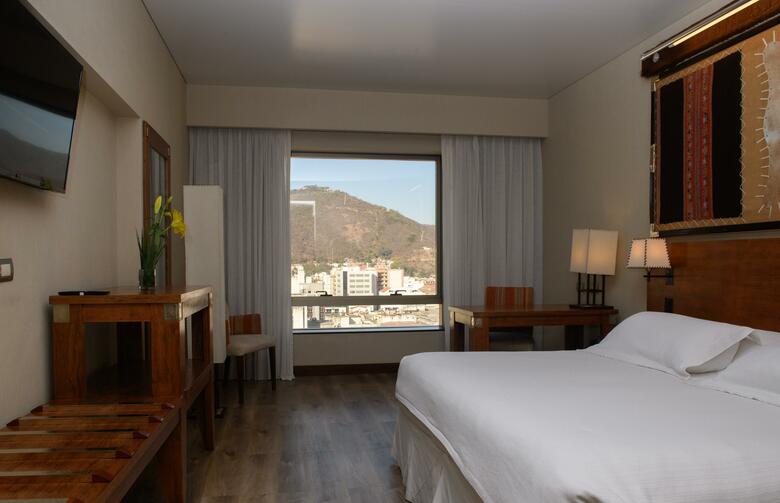 Hotel Alejandro I