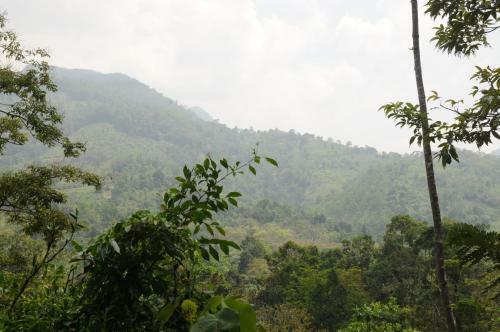 Hostal Kuru Ganga Villa
