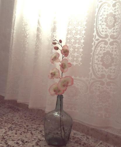 Apartamento Cami Vell