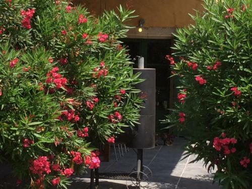 Bed & Breakfast La Bergerie De Castellan