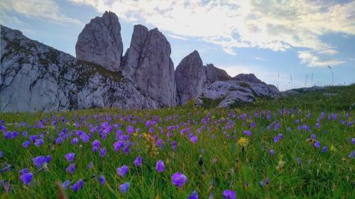 Apartments Durmitor