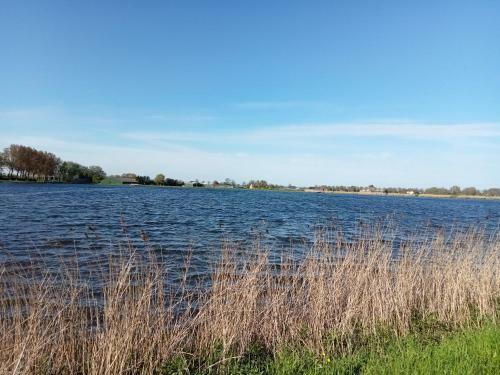 Groenhof