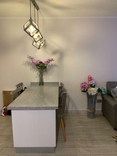 Apartamento Hermoso Departamento Nuevo
