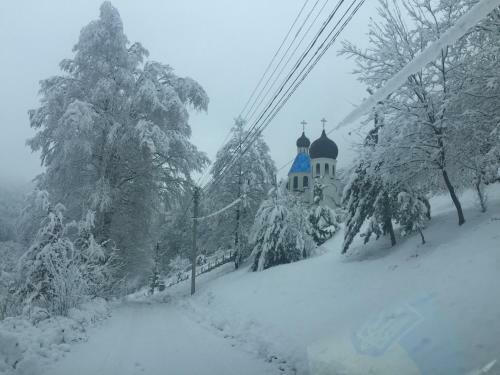 Posada Sadyba Sribne Dzherelo