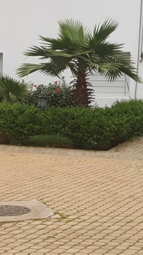 Apartamento Residence Les Pins