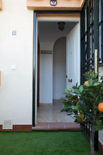 Apartamento Primera L�nea De Playa