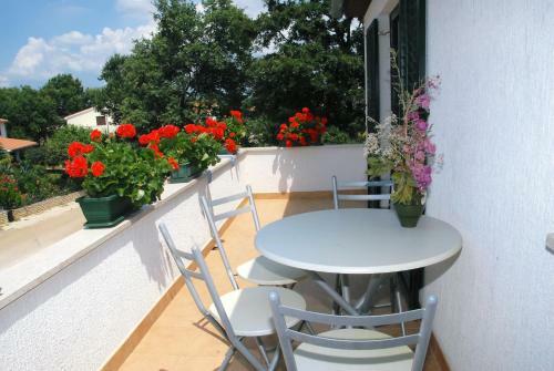 Apartmani Bauk
