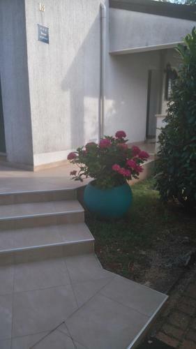 Apartmani Bauk