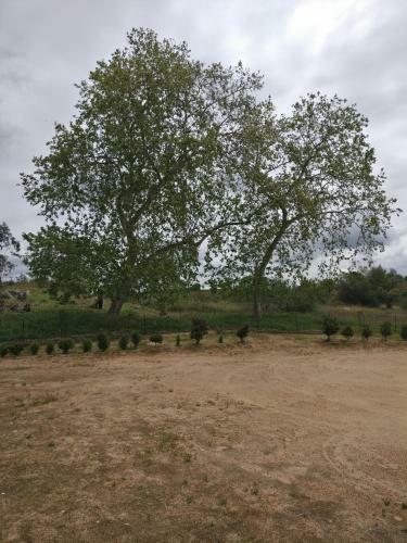 Agroturismo Quinta Da Abrunheira - Gustavo Eiffel
