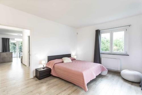 Apartamento Suite Senior Sx