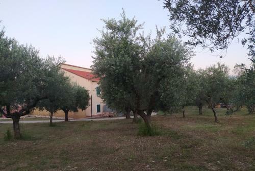 La Casa Di Maira