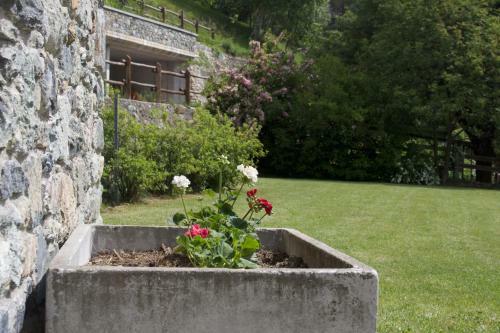 Chalet Mont Avic