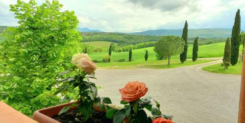 Agroturismo Agriturismo Casa Rossa