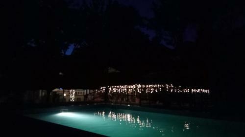 Hotel Honey Badger Lodge