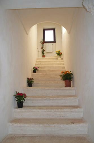 Casa Del Sud