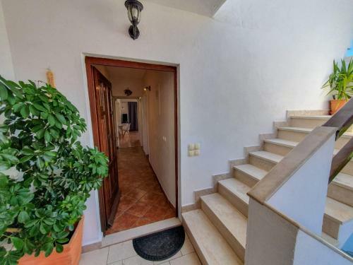 Apartmani Bonavia