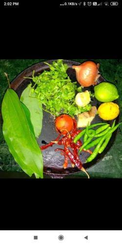 Dityashouse ( A Home Stay)