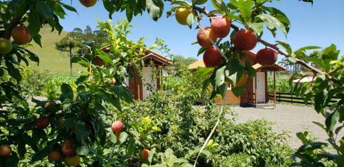 Hostal Amanhecer Na Serra