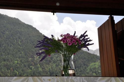 Apartamento El Cuchi De Tril, C�ntrico, Wifi, Ascensor Y Garaje