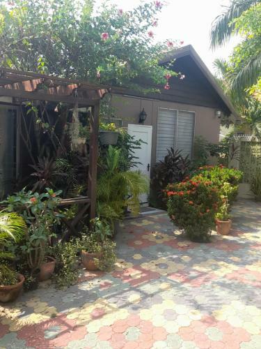 Apartamento 11 Glenhope Avenue