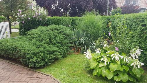 Apartamento Szenczi Vend�gh�z