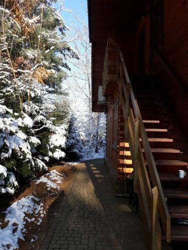 Hostal D?bowa Dziupla