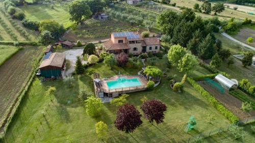 B&B Pino Cedro