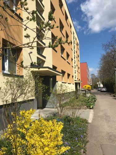 Family Apartment