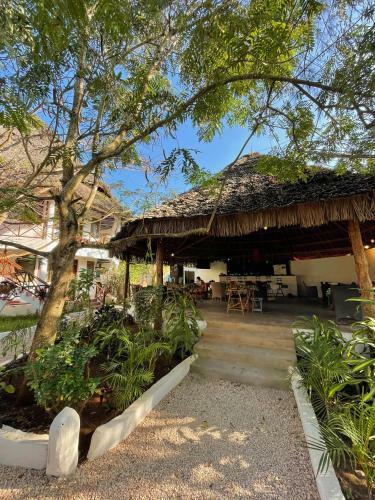 Pasha Nungwi Hotel