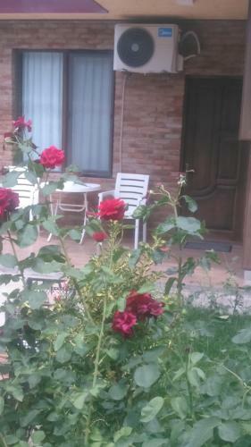Apartamento Tamo's Sweet Home